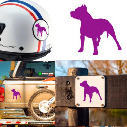 Pegatina de vinilo Pitbull