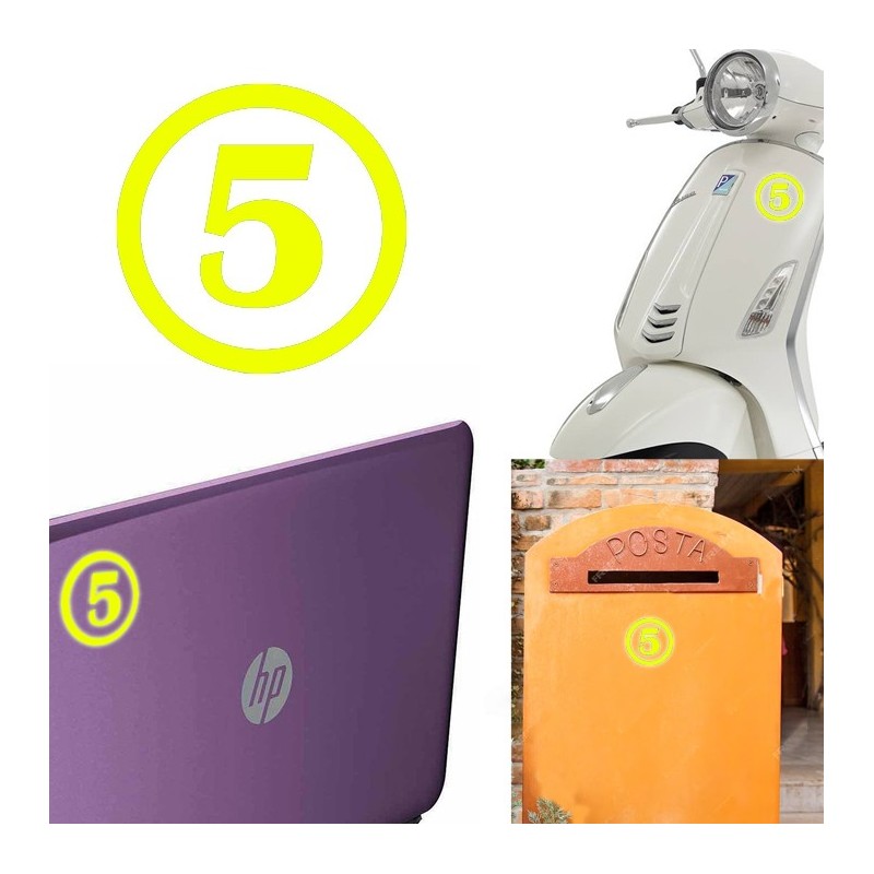 numero 5 versión v1