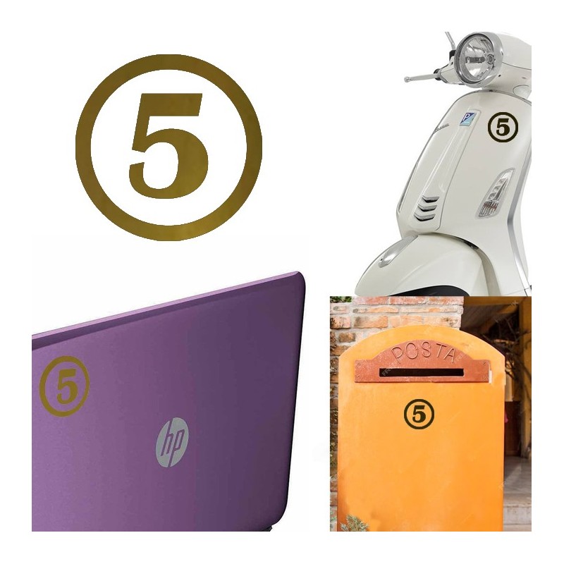 numero 5 versión v1