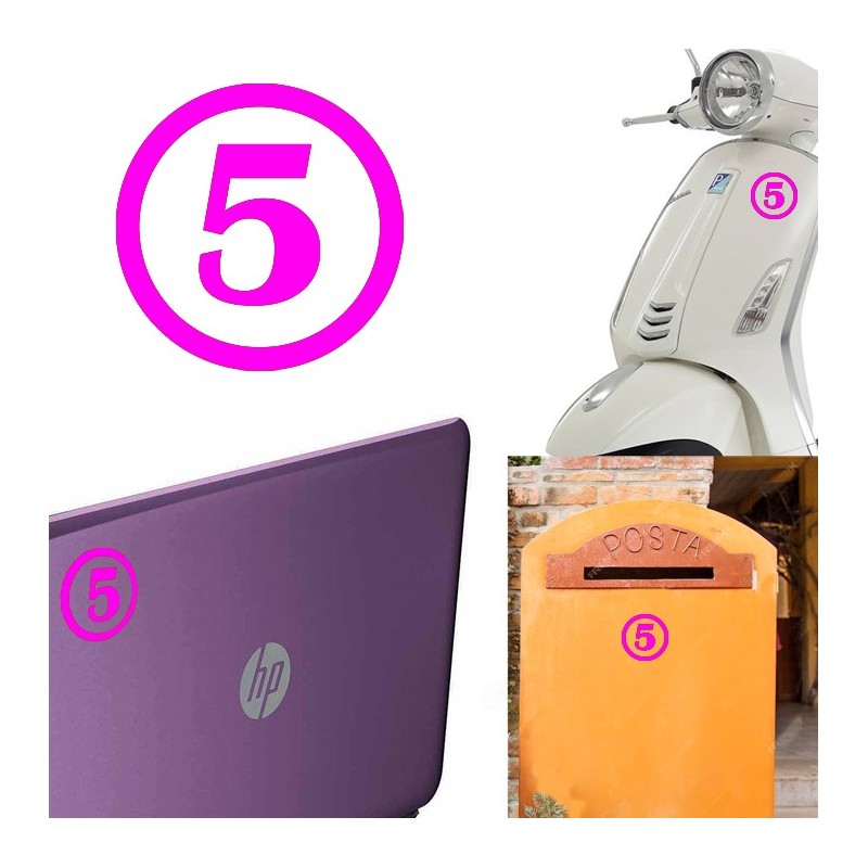 numero 5 versión v1