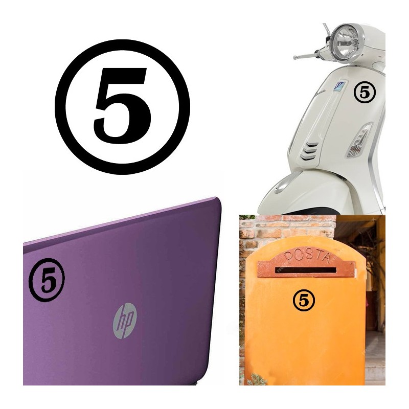 numero 5 versión v1