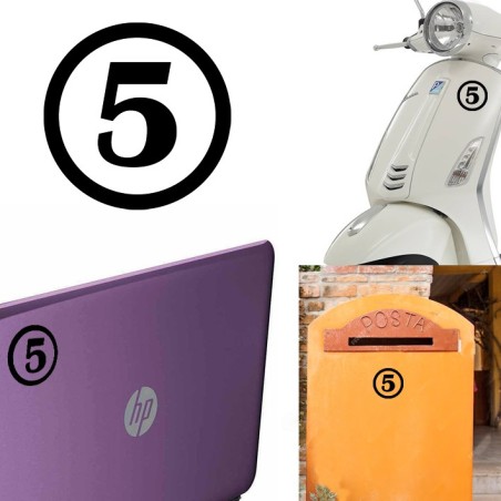 numero 5 versión v1