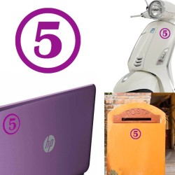 numero 5 versión v1