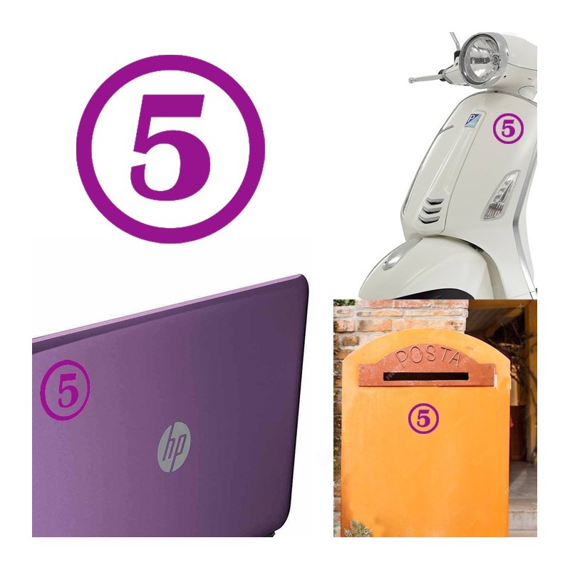 numero 5 versión v1