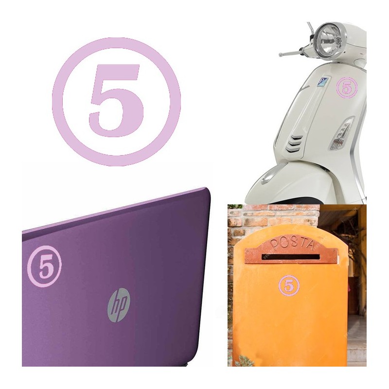 numero 5 versión v1