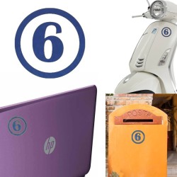 numero 6 versión v1