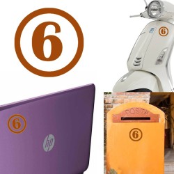 numero 6 versión v1