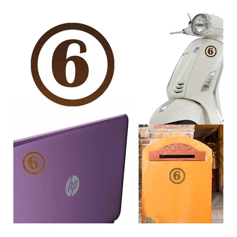 numero 6 versión v1