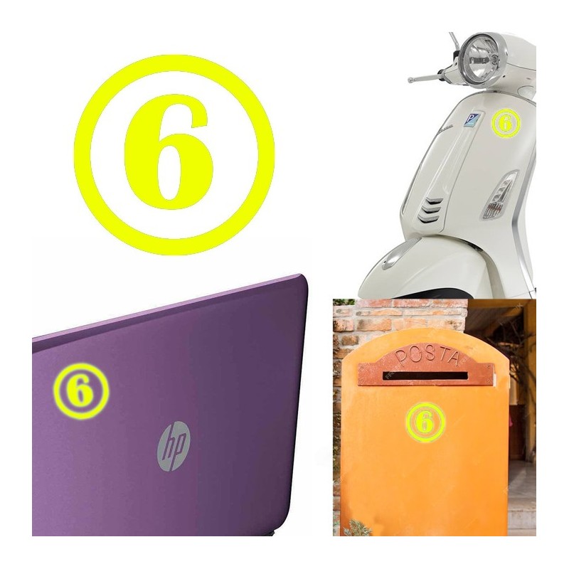 numero 6 versión v1