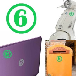 numero 6 versión v1