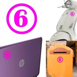 numero 6 versión v1