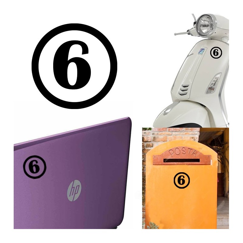 numero 6 versión v1