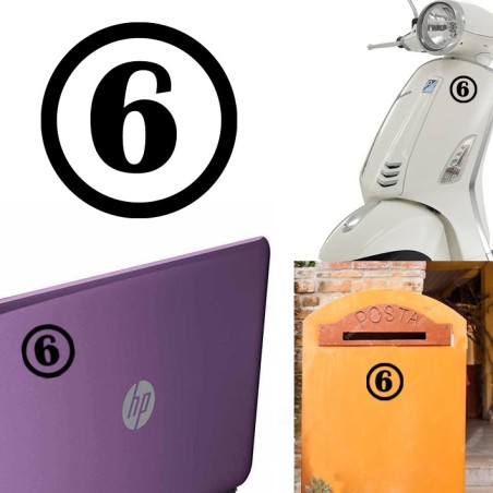 numero 6 versión v1