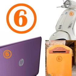 numero 6 versión v1