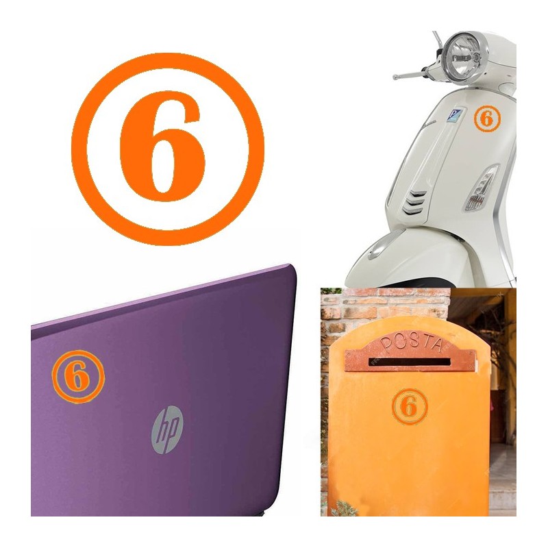 numero 6 versión v1