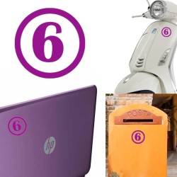 numero 6 versión v1