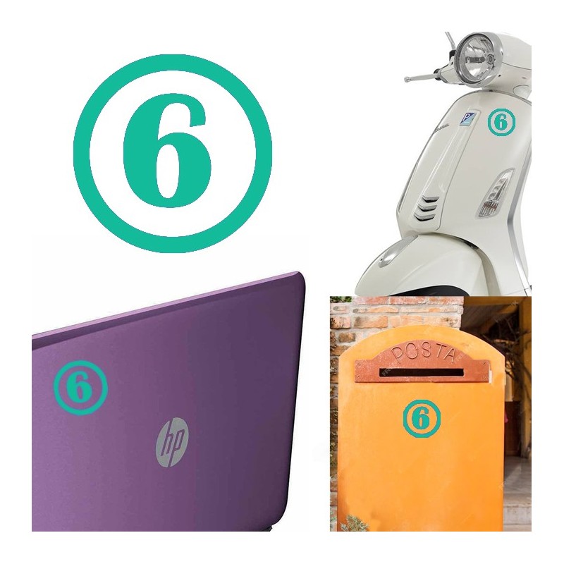 numero 6 versión v1