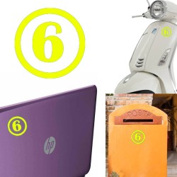 numero 6 versión v1