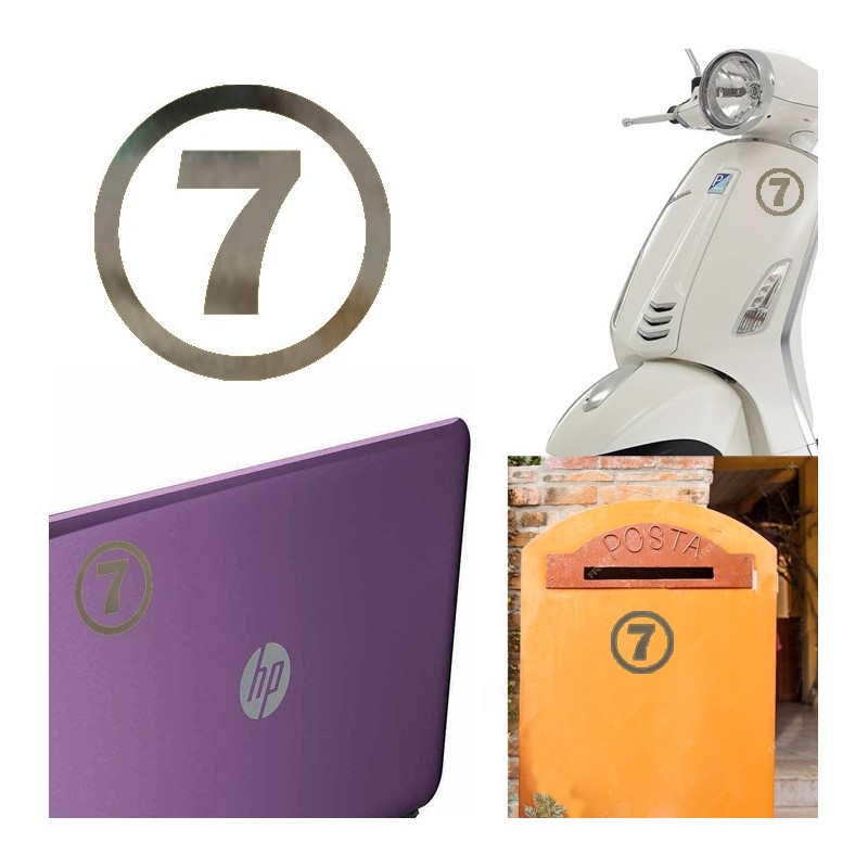 numero 7 versión v1