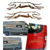 2 Galgos corriendo version v10 XS. 1 derecha y 1 izquierda