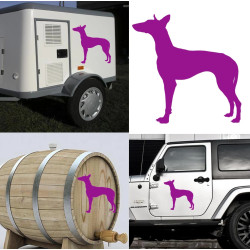 Podenco Canario, pegatina de vinilo
