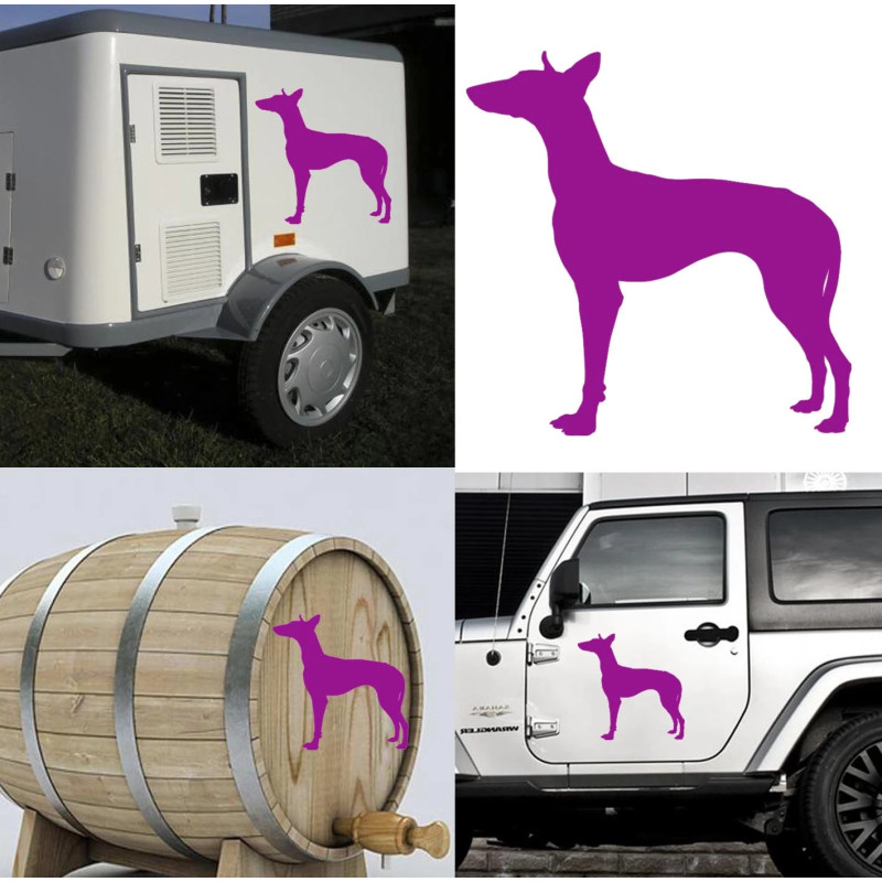 Podenco Canario, pegatina de vinilo