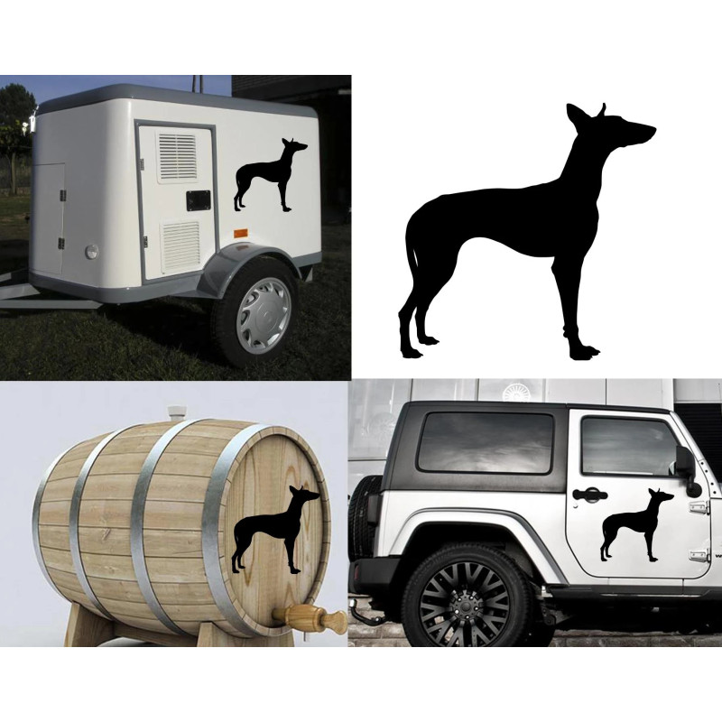 Podenco Canario versión derecha, pegatina de vinilo