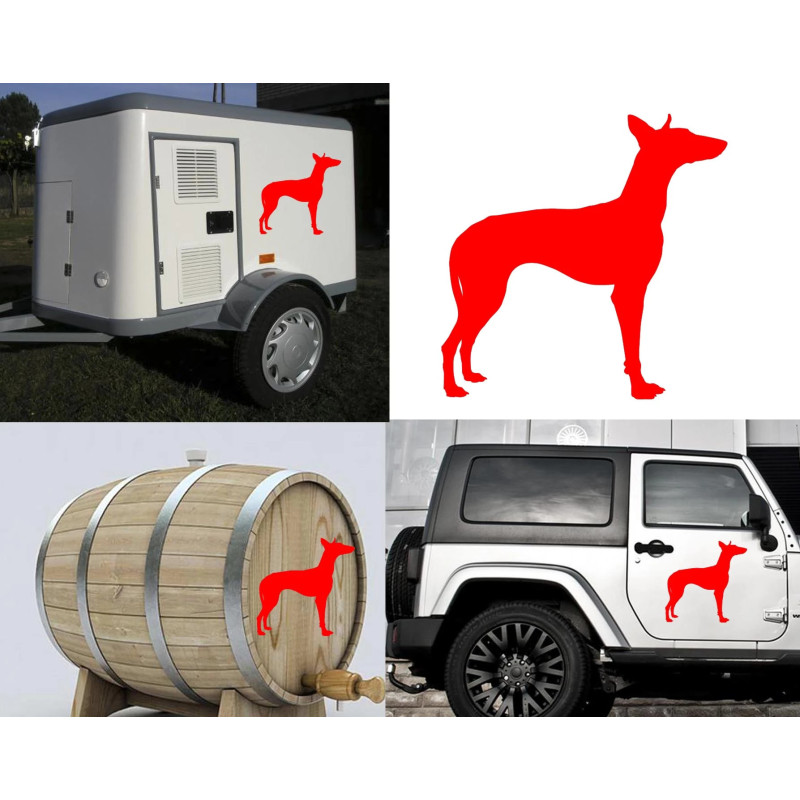 Podenco Canario versión derecha, pegatina de vinilo