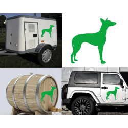 Podenco Canario versión derecha, pegatina de vinilo