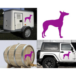 Podenco Canario versión derecha, pegatina de vinilo
