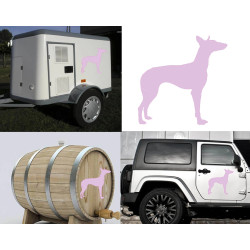 Podenco Canario versión derecha, pegatina de vinilo