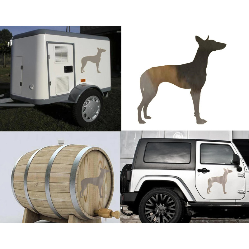 Podenco Canario versión derecha, pegatina de vinilo