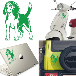 Pegatina Beagle, vinilo adhesivo (Perro Biguel)