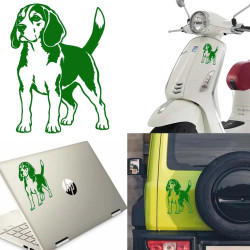 Pegatina Beagle, vinilo adhesivo (Perro Biguel)